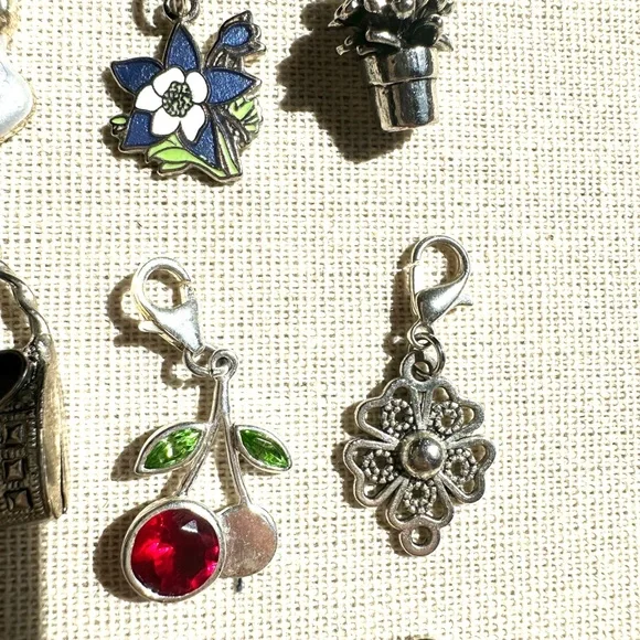 ↖️12 Charms: Bundle - Picture 4 of 8